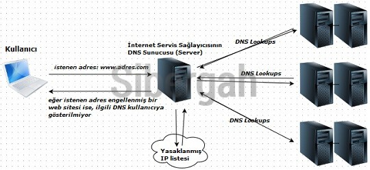 DNS-Poisining-System