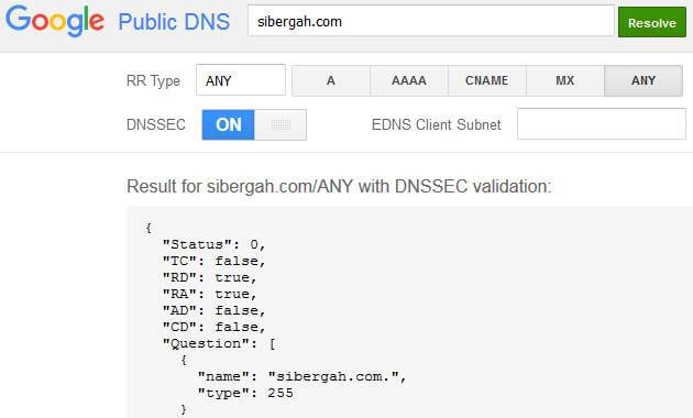 Örnek Google DNS-over-HTTPS Sorgulaması